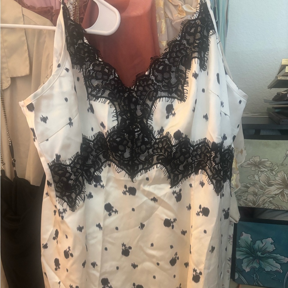Cider Monochrome Lace Dress Plus Curve